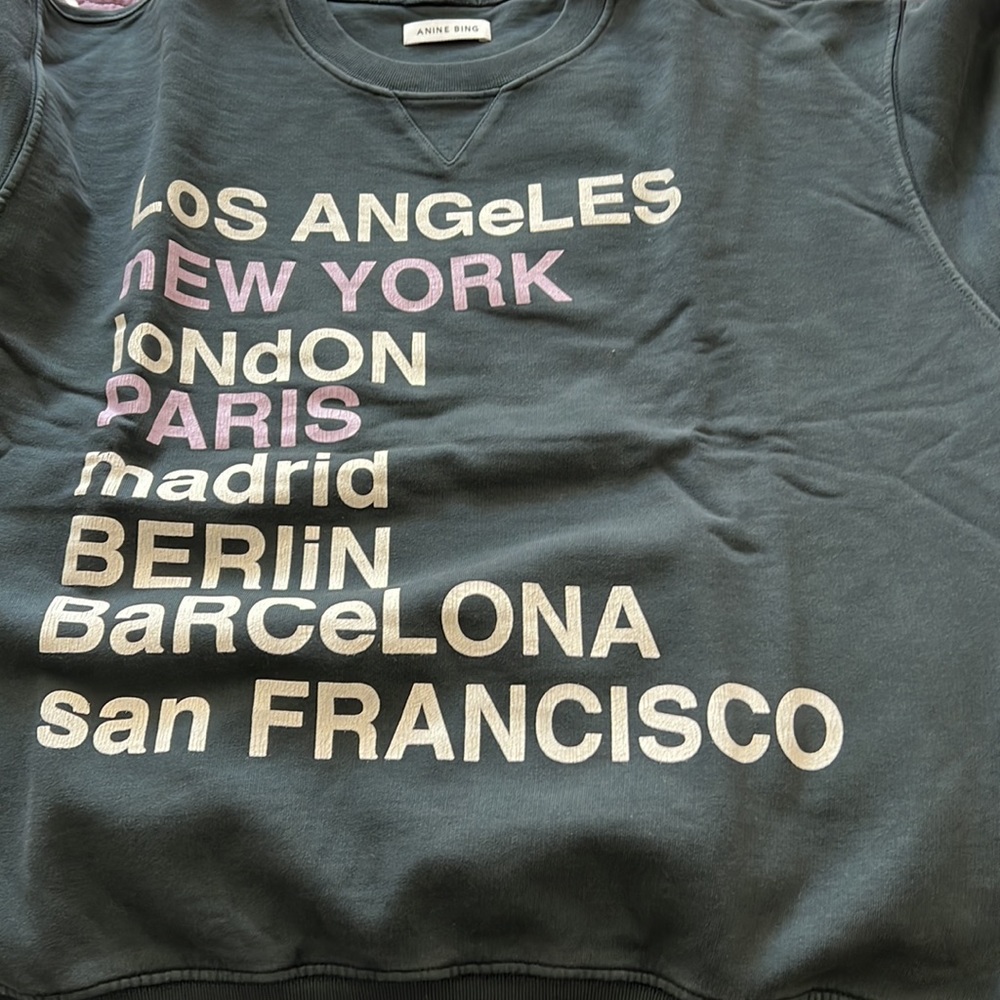 Anine Bing City Love Sweatshirt - Picture 10 of 11